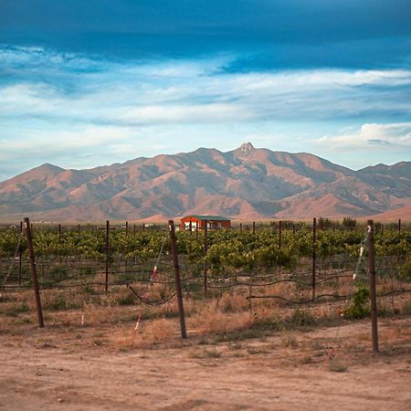 Вілла Casa Barbera At Tirrito Farm Віллкокс Екстер'єр фото